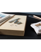 AGRAFES STANLEY 10MM TYPE G