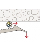 ARCEAUX DOUBLE KB 16